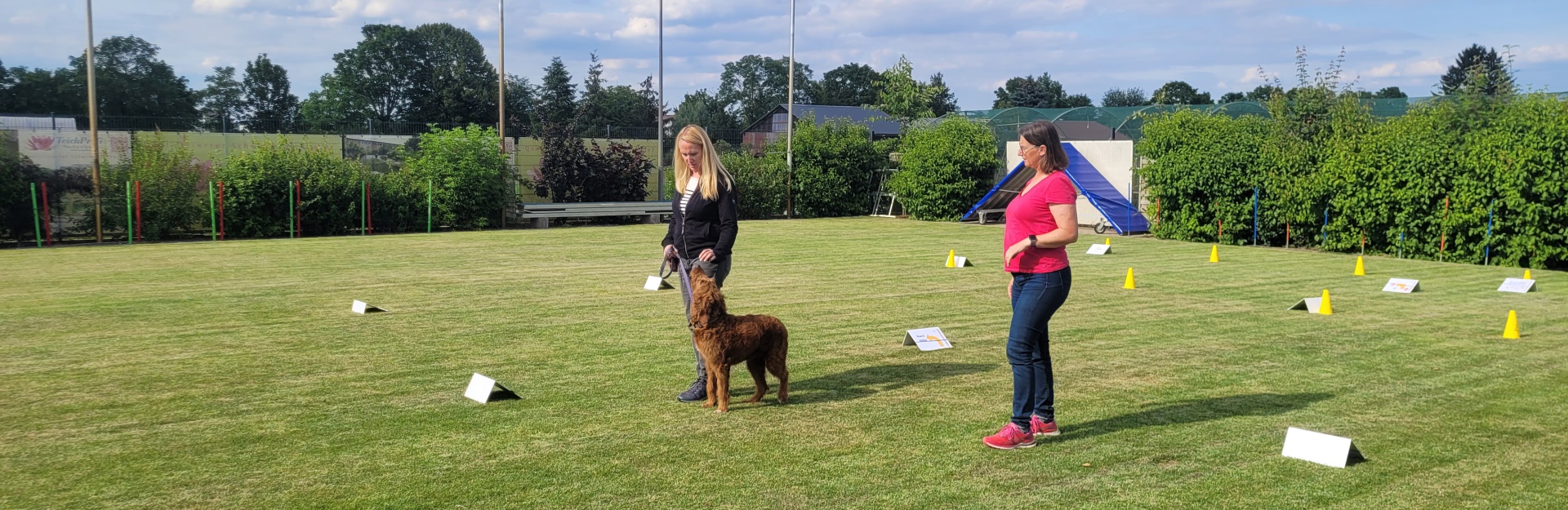 Foto:Hundeschule: Rally Obedience