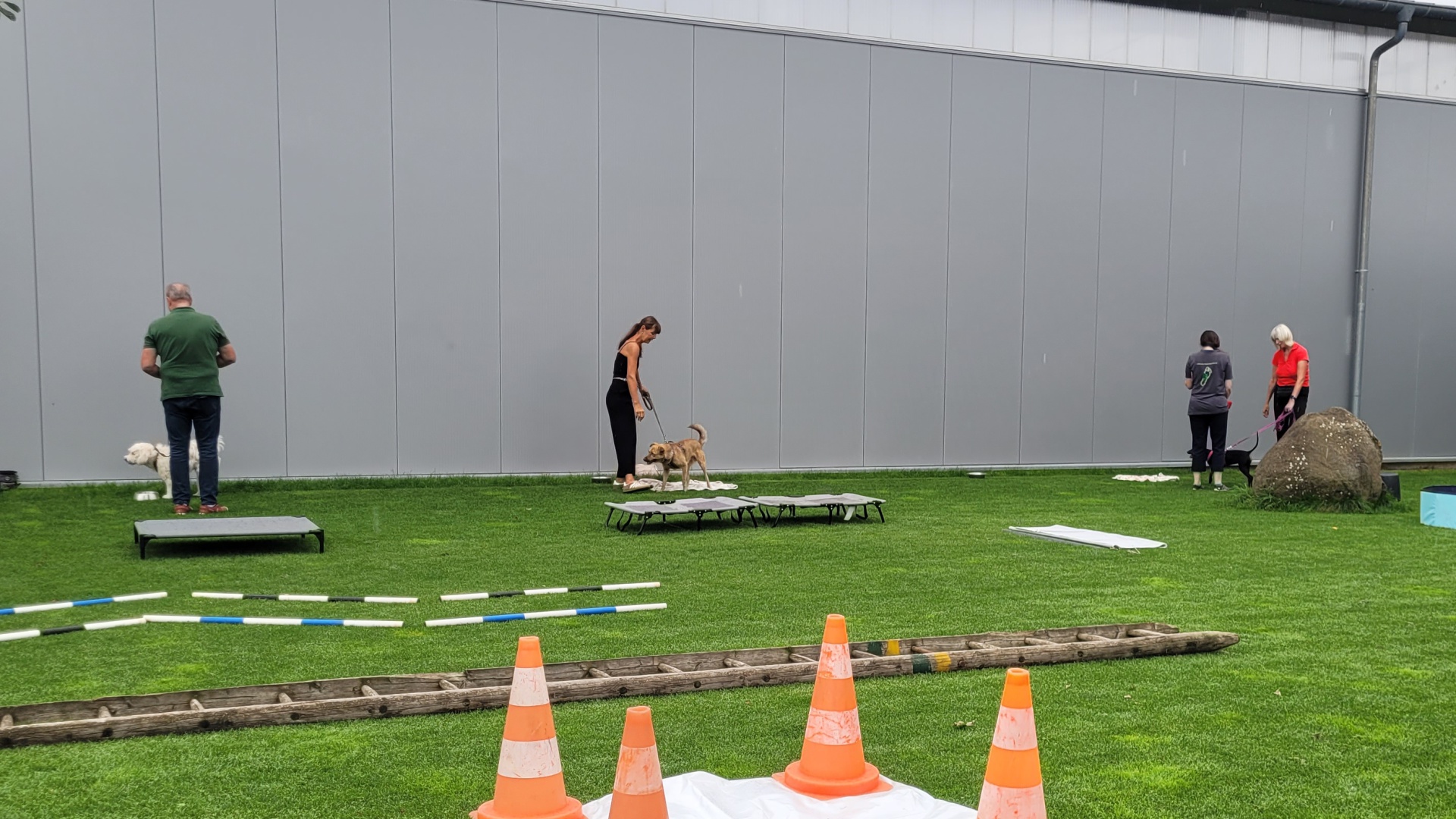 Foto:Enrichment | natürliche Bedürfnisse ausleben