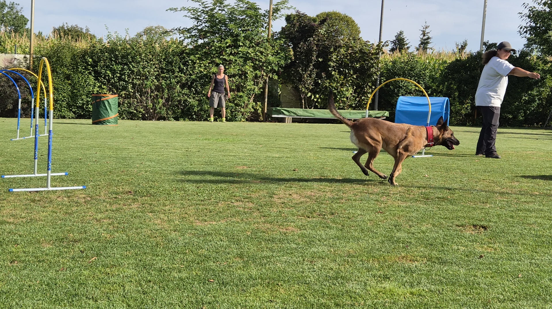 Foto:Hundesport: Hoopers