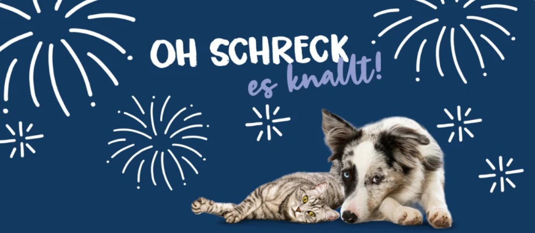 Foto:Hundeschule: Vortrag | Silvester mit Hund -  so kommt ihr gut durch den Jahreswechsel