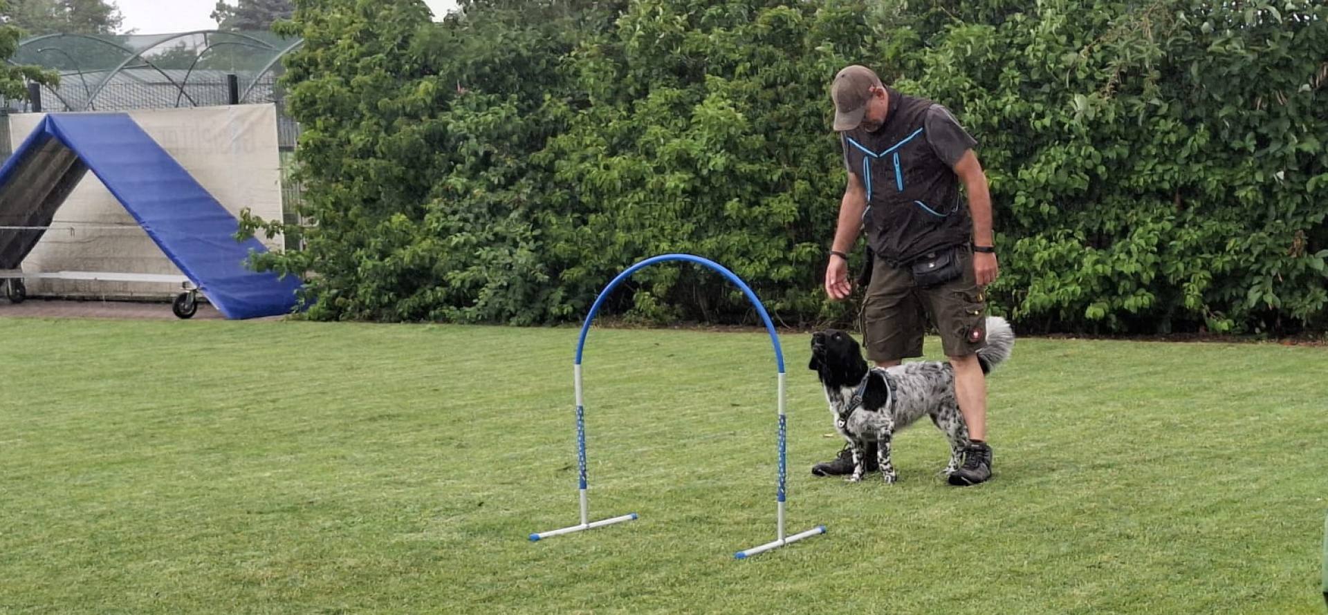 Foto:Agility | Hoopers: HOOPERS - Einsteigerkurs