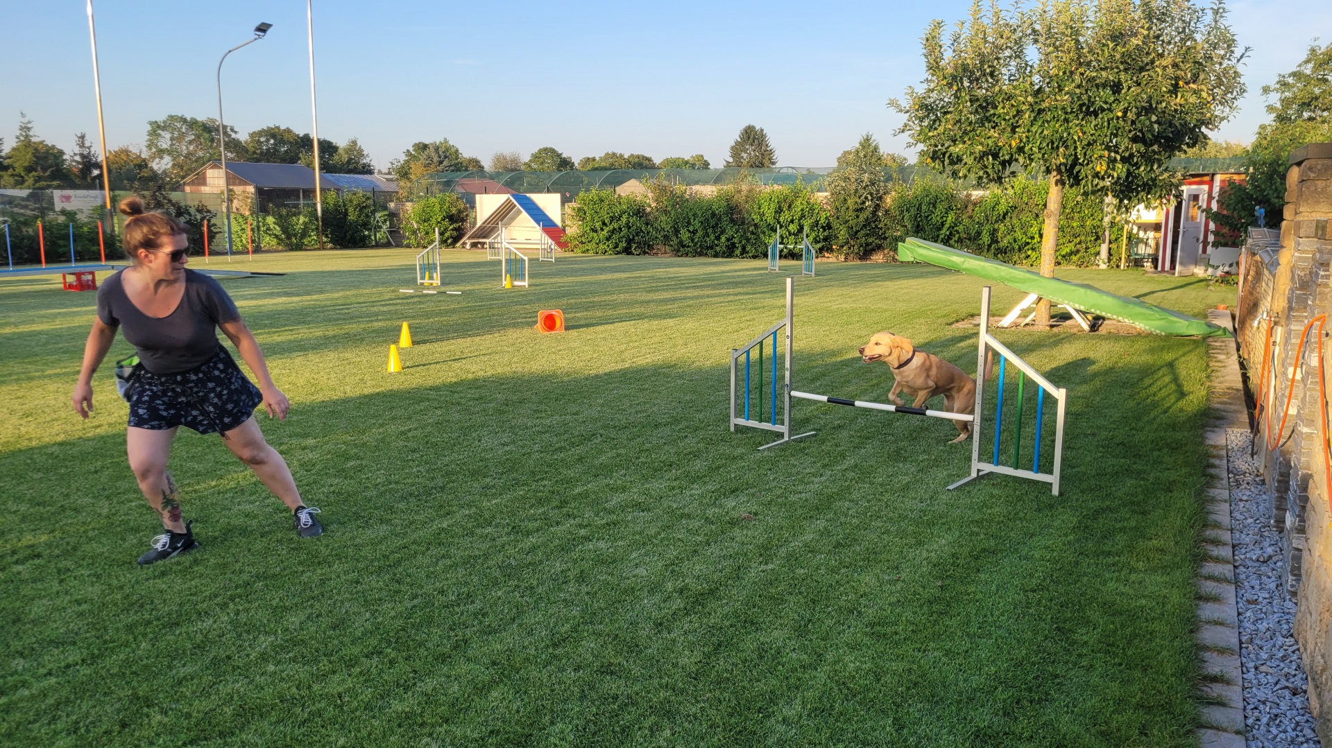 Foto:Agility: Individuelles Training